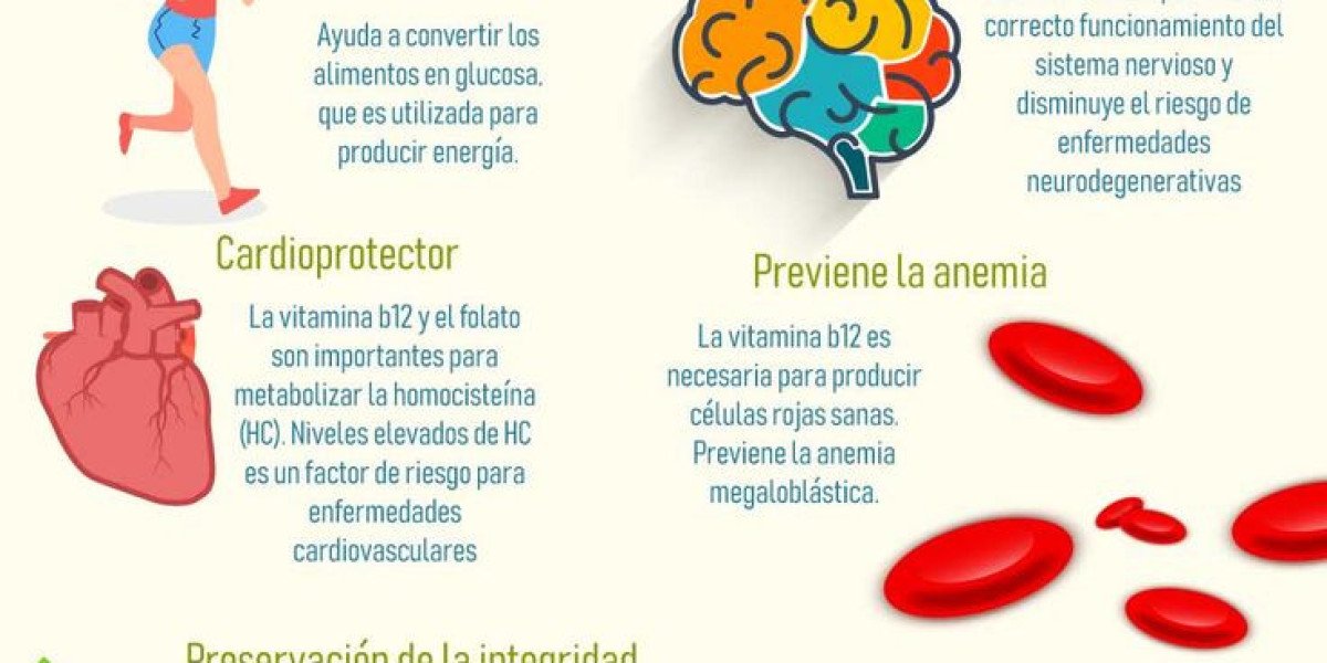 Ácido fólico: MedlinePlus en español