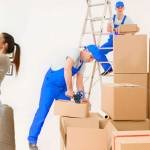 Local Movers profile picture