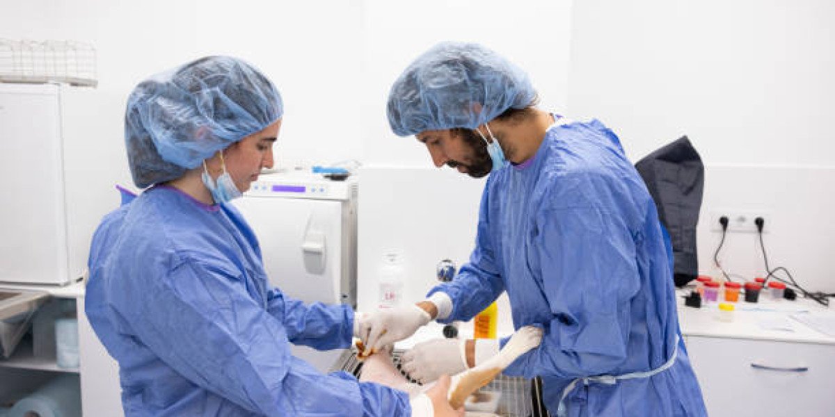 Live Animal Porcine Pig Surgical Training
