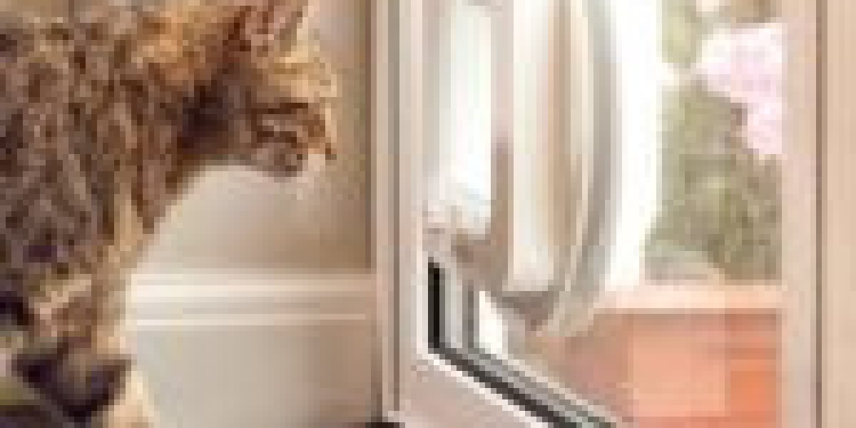 10 Meetups About Cat Flap Installation Guide You Should Attend
