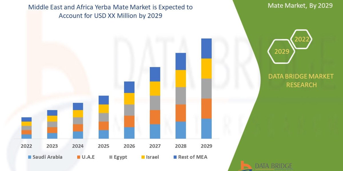 Yerba Mate Health Benefits & Best Brands to Try in 2025
