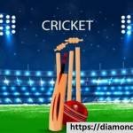 Diamondexch99k Profile Picture